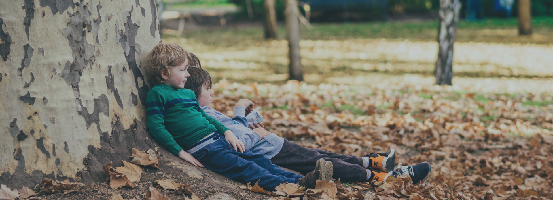Children sitting underneath a big tree