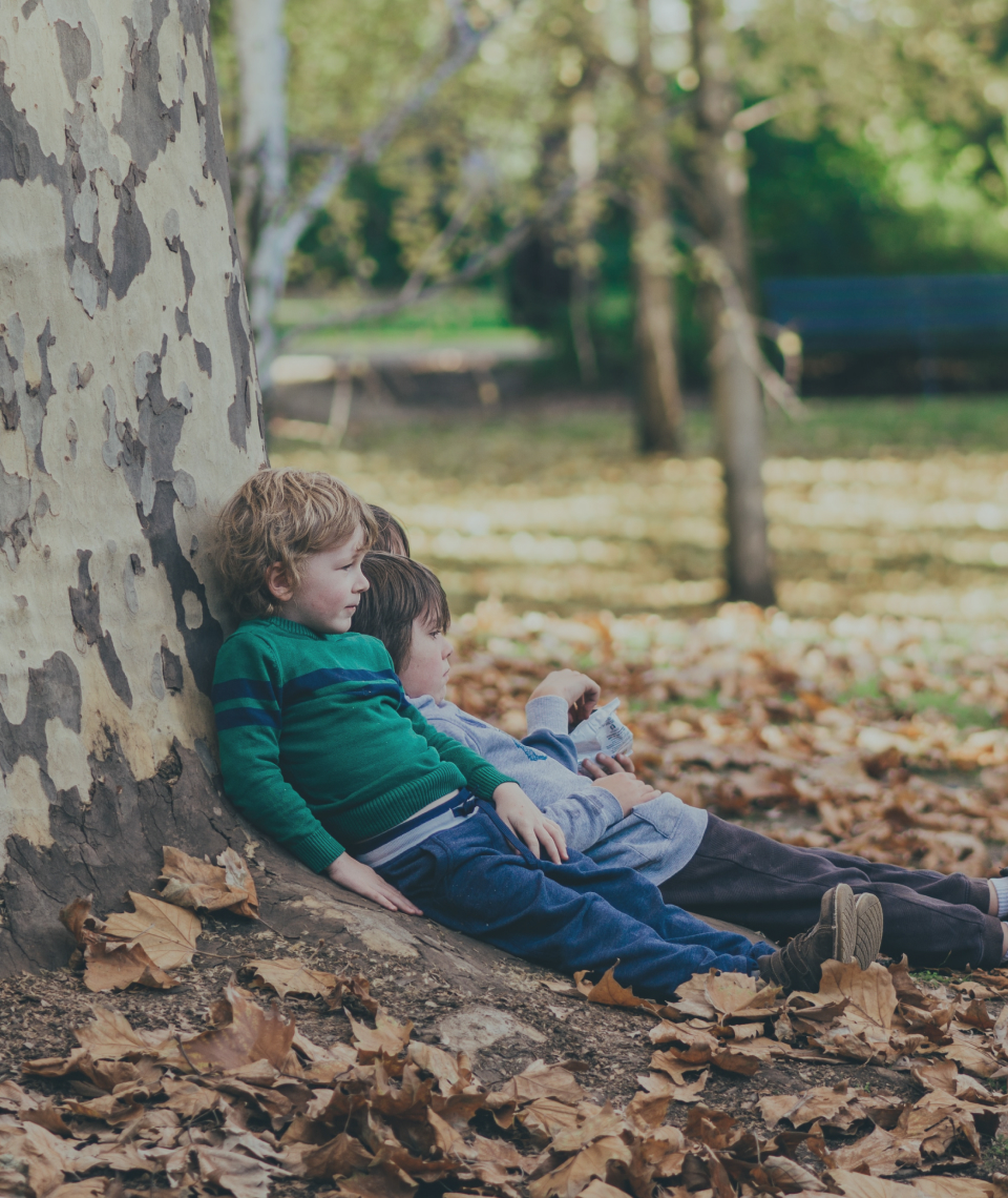 Children sitting underneath a big tree