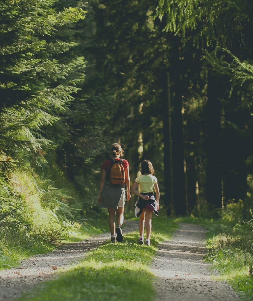 Children walking on a forrest bridleway