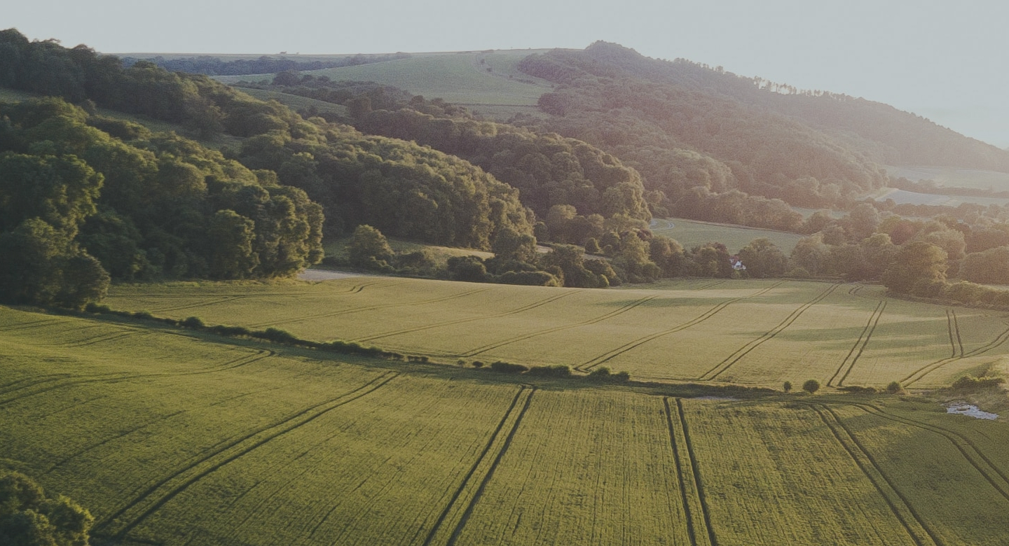 A picture of countryisde